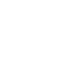 Firewall Icon